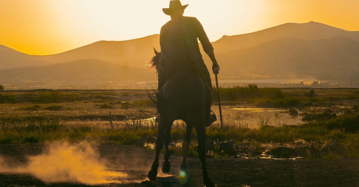 Культурное наследие Дикого Запада в современном искусстве